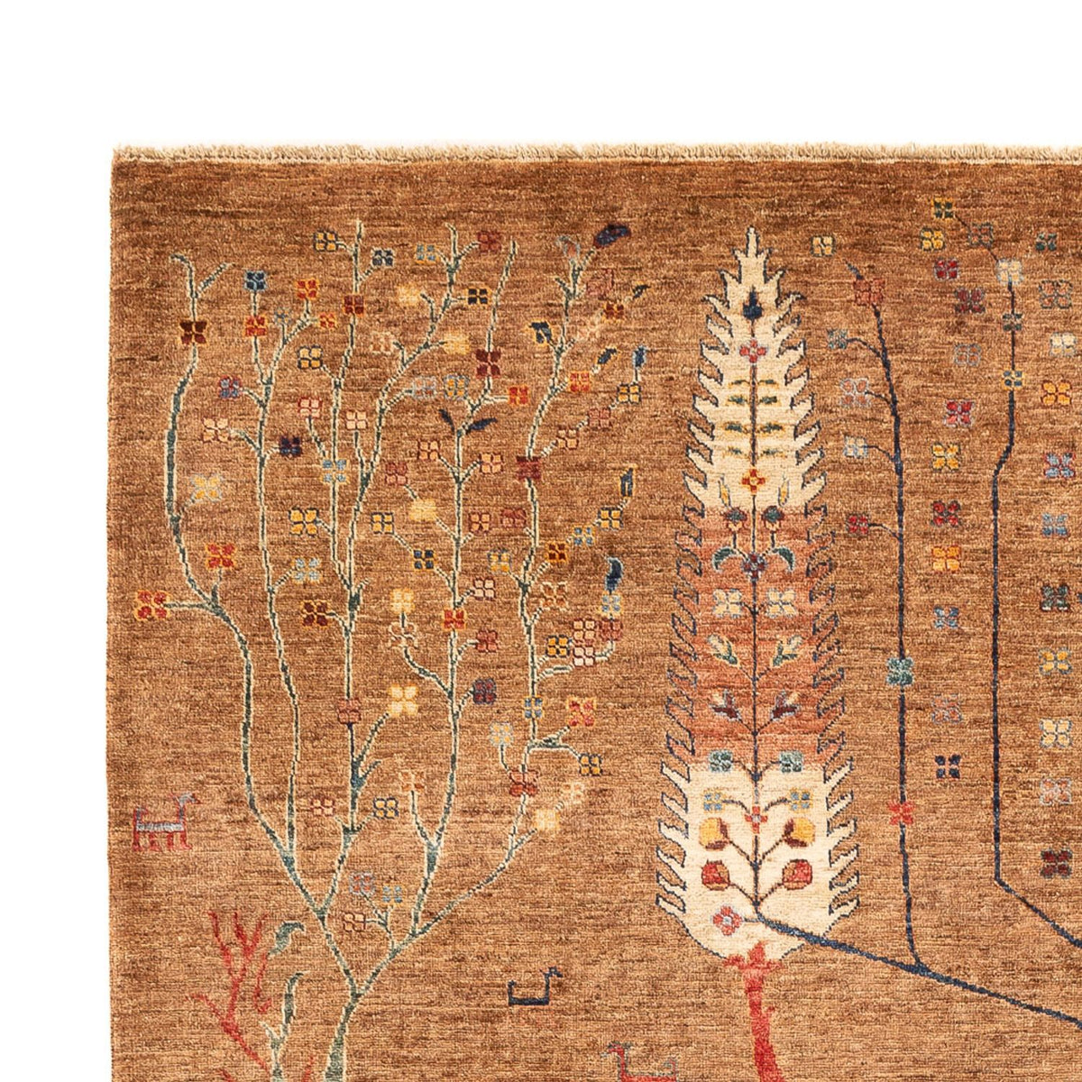 Dywan Ziegler - Ariana - 303 x 204 cm - ciemny beż