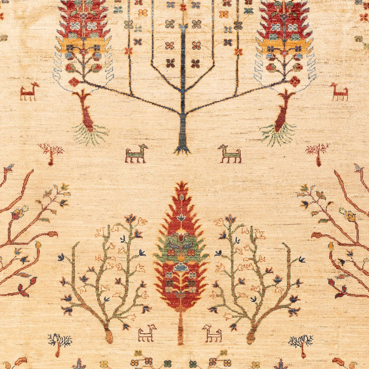 Dywan Ziegler - Ariana - 299 x 209 cm - wielokolorowy