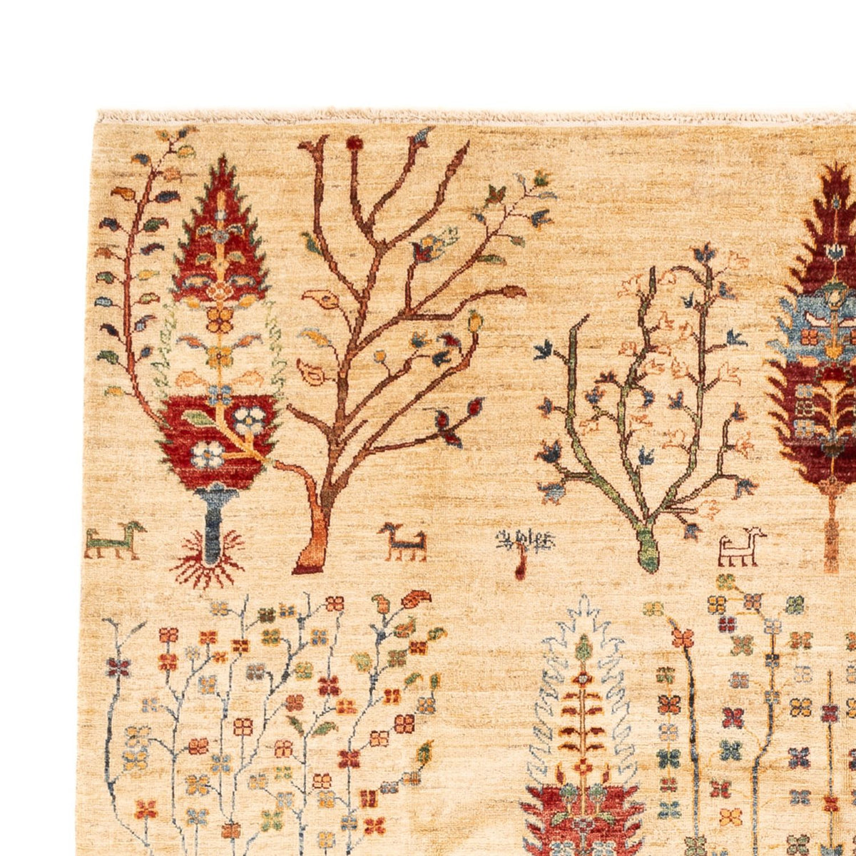 Dywan Ziegler - Ariana - 299 x 209 cm - wielokolorowy