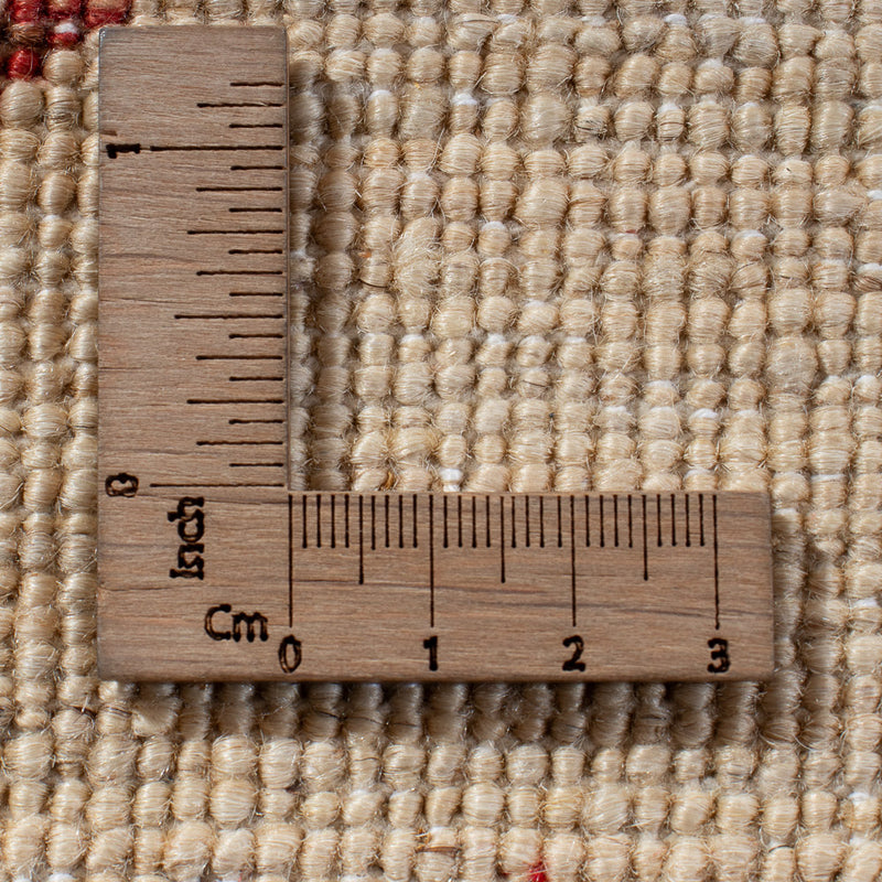 Dywan Ziegler - Ariana - 299 x 209 cm - wielokolorowy