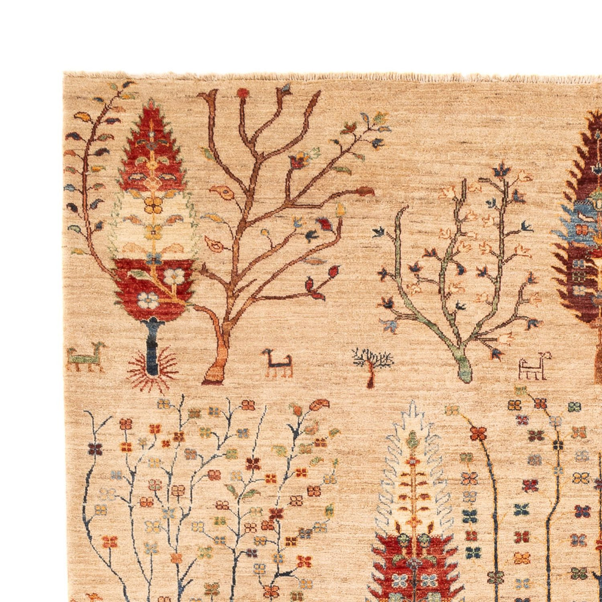 Dywan Ziegler - Ariana - 312 x 212 cm - wielokolorowy