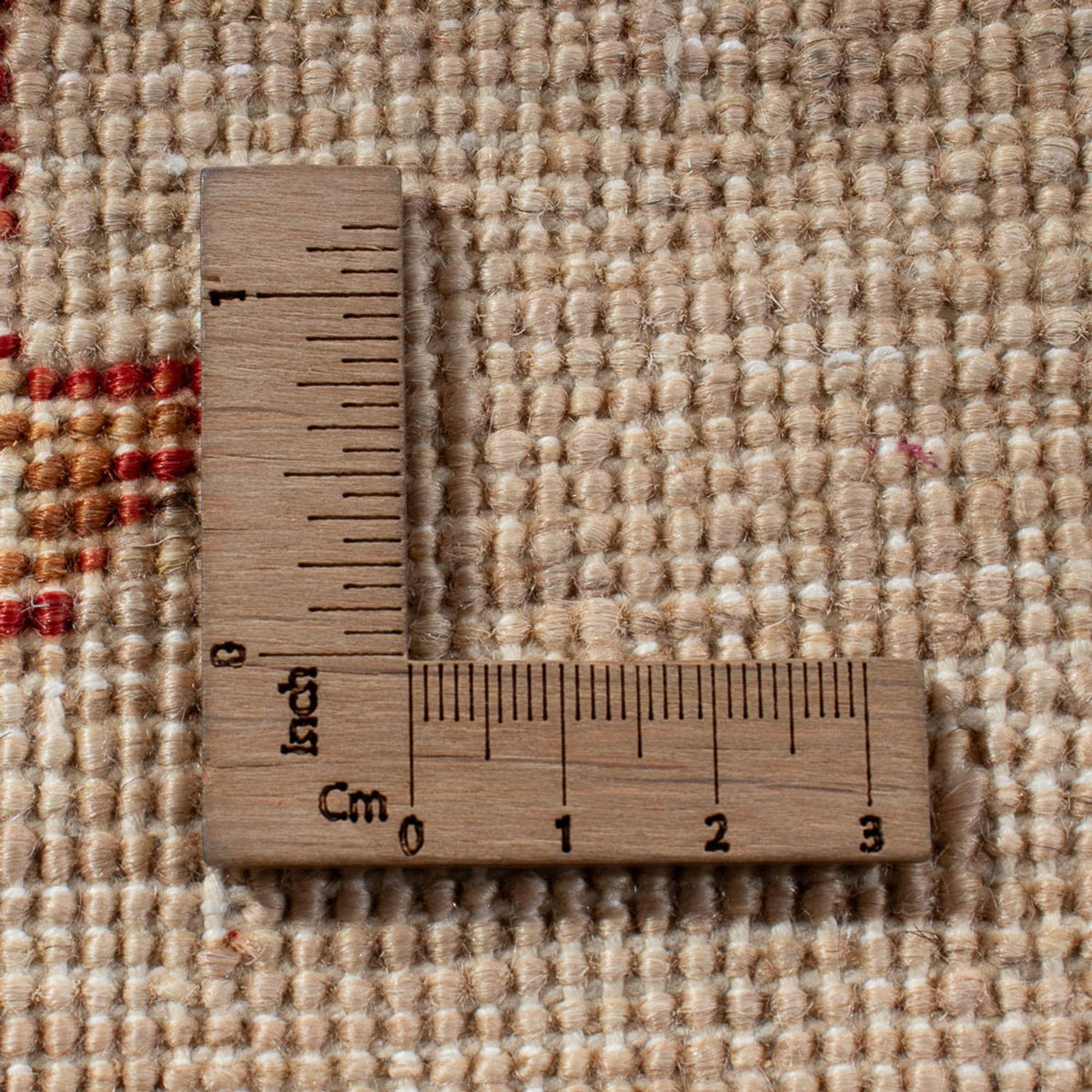 Dywan Ziegler - Ariana - 312 x 212 cm - wielokolorowy