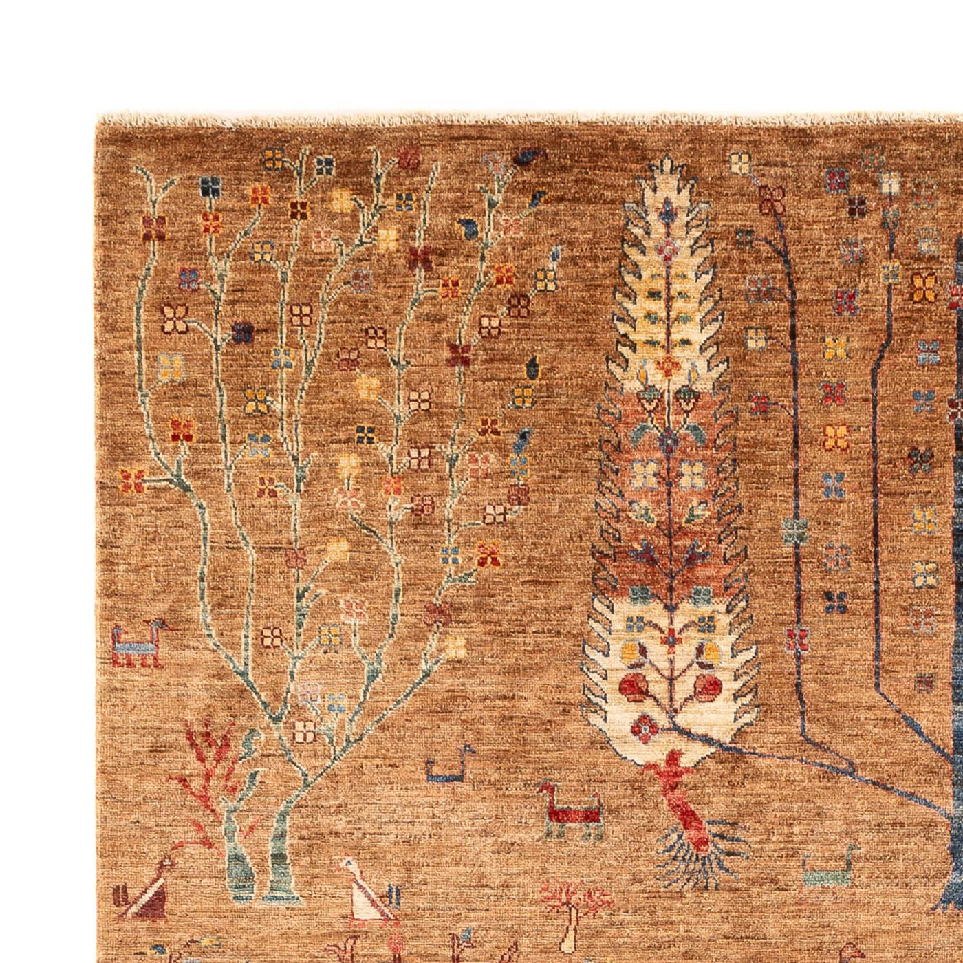 Dywan Ziegler - Ariana - 294 x 205 cm - wielokolorowy