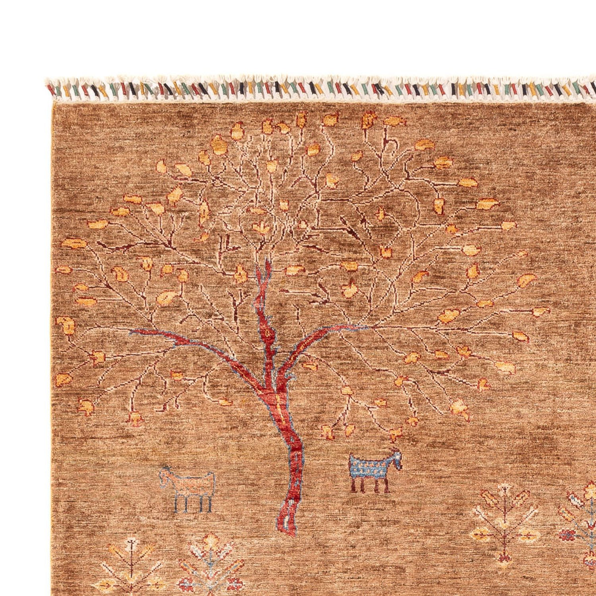 Dywan Ziegler - Ariana - 294 x 206 cm - ciemny beż