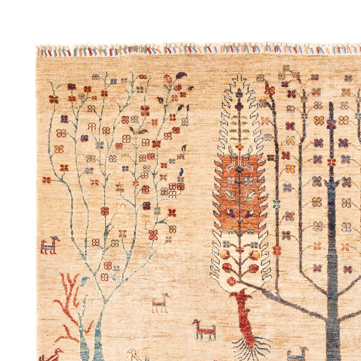 Dywan Ziegler - Ariana - 303 x 204 cm - beżowy