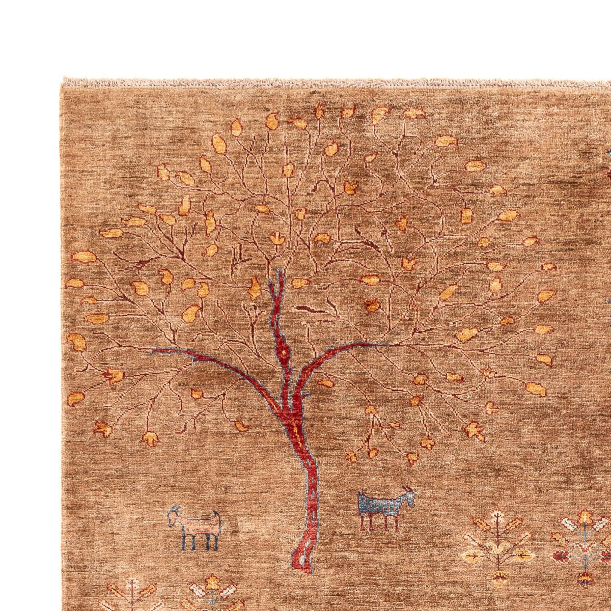 Dywan Ziegler - Ariana - 291 x 210 cm - ciemny beż