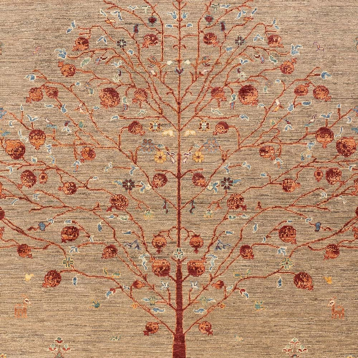 Dywan Ziegler - Ariana - 302 x 202 cm - ciemny beż