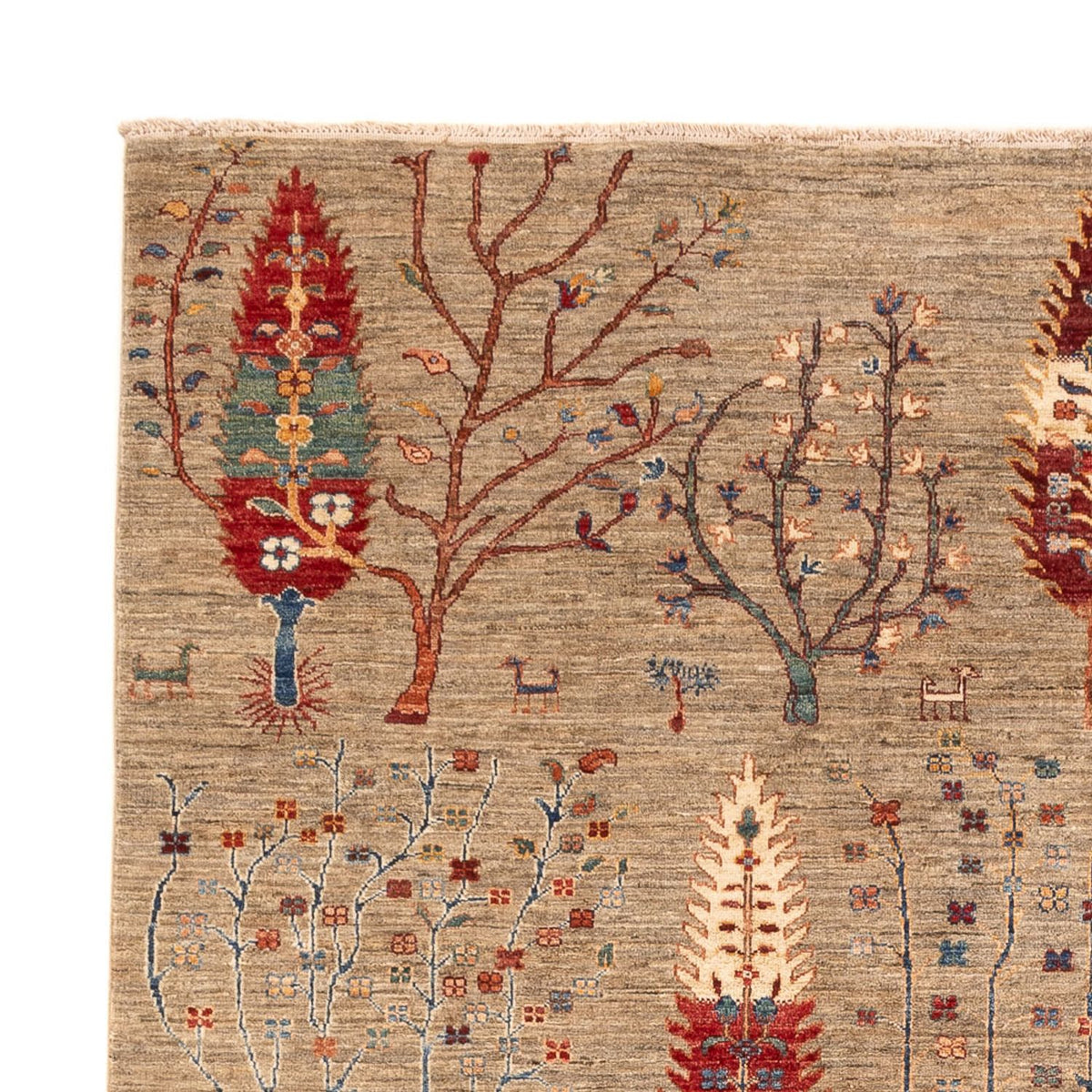 Dywan Ziegler - Ariana - 291 x 211 cm - ciemny beż