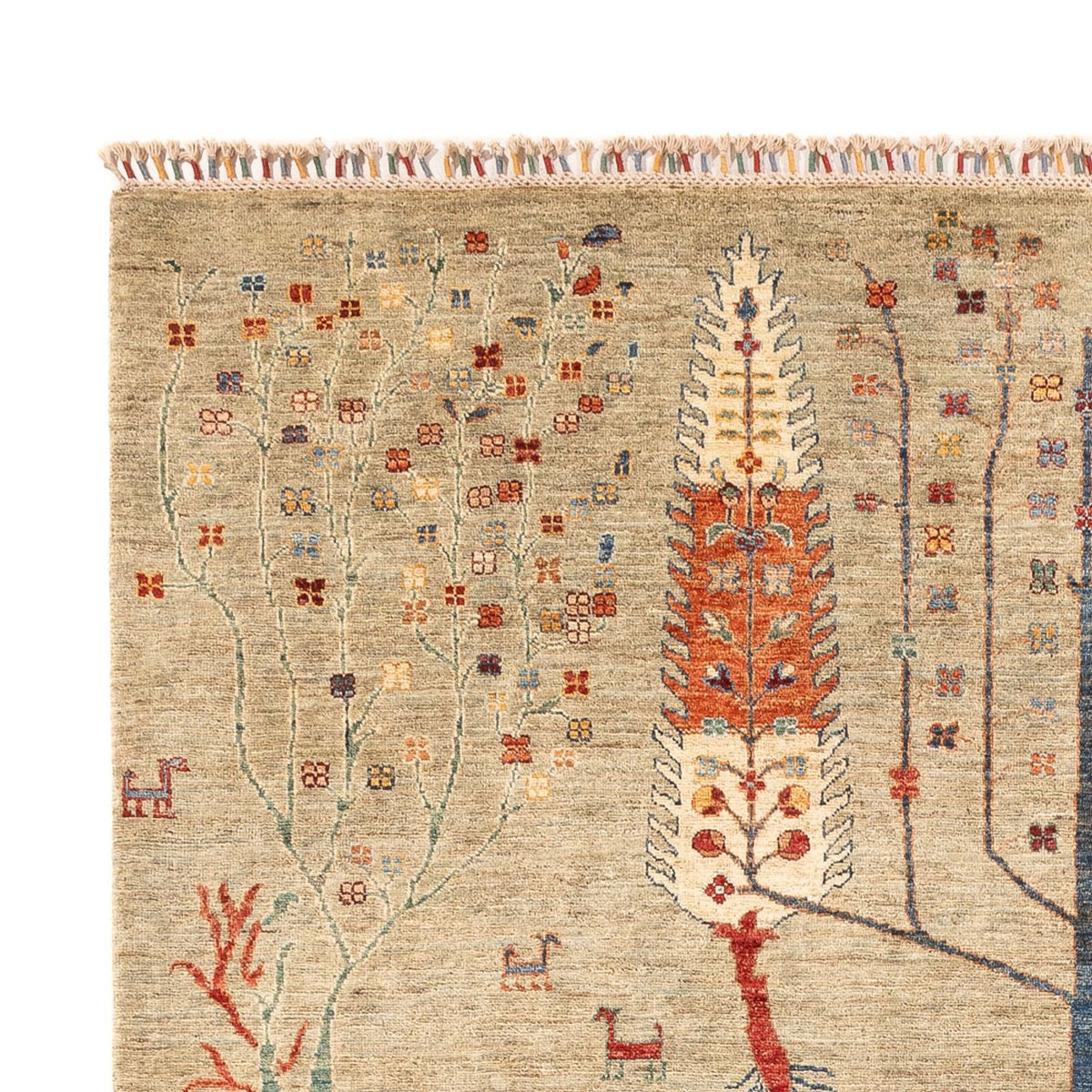 Dywan Ziegler - Ariana - 299 x 210 cm - piaskowy