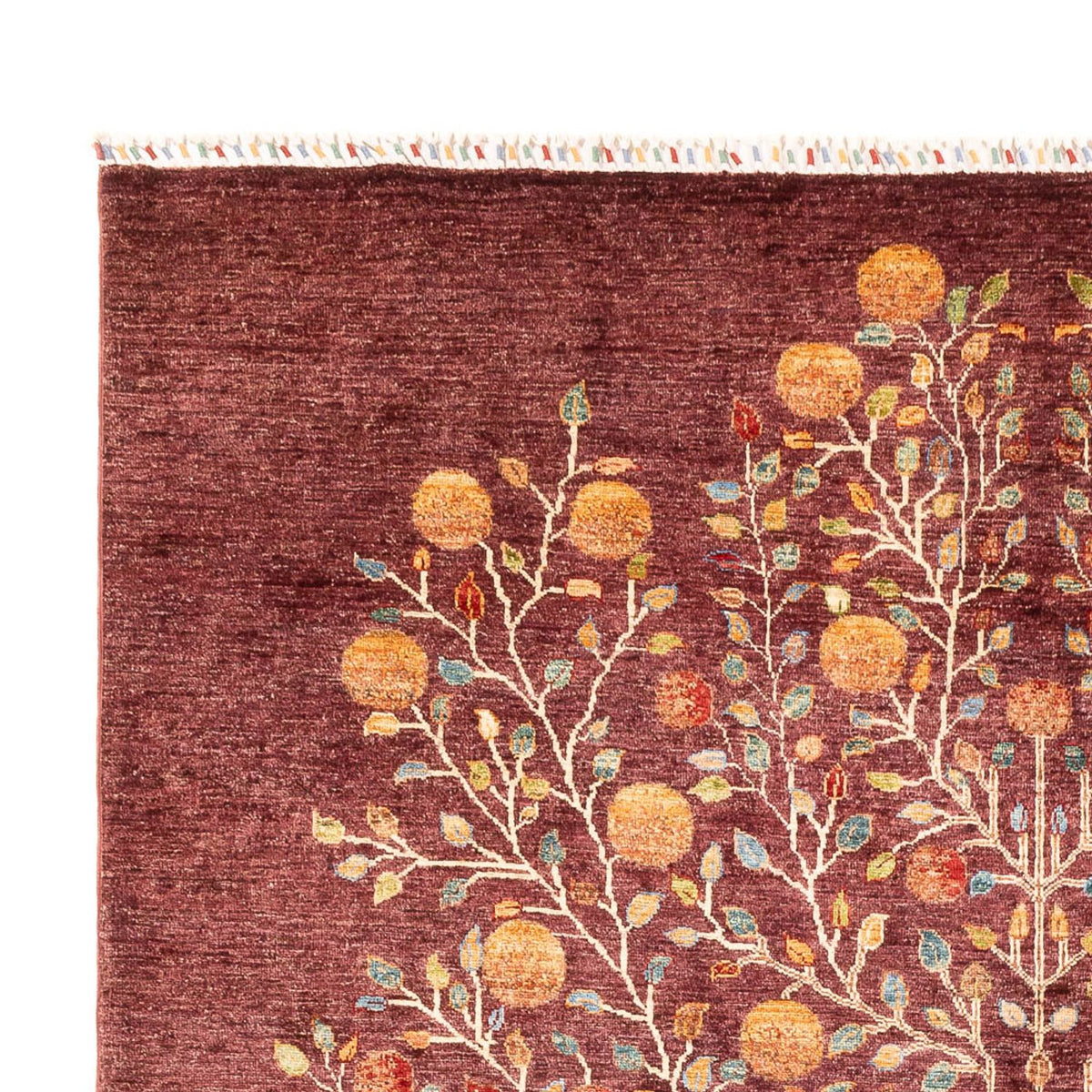 Dywan Ziegler - Ariana - 300 x 209 cm - fioletowy