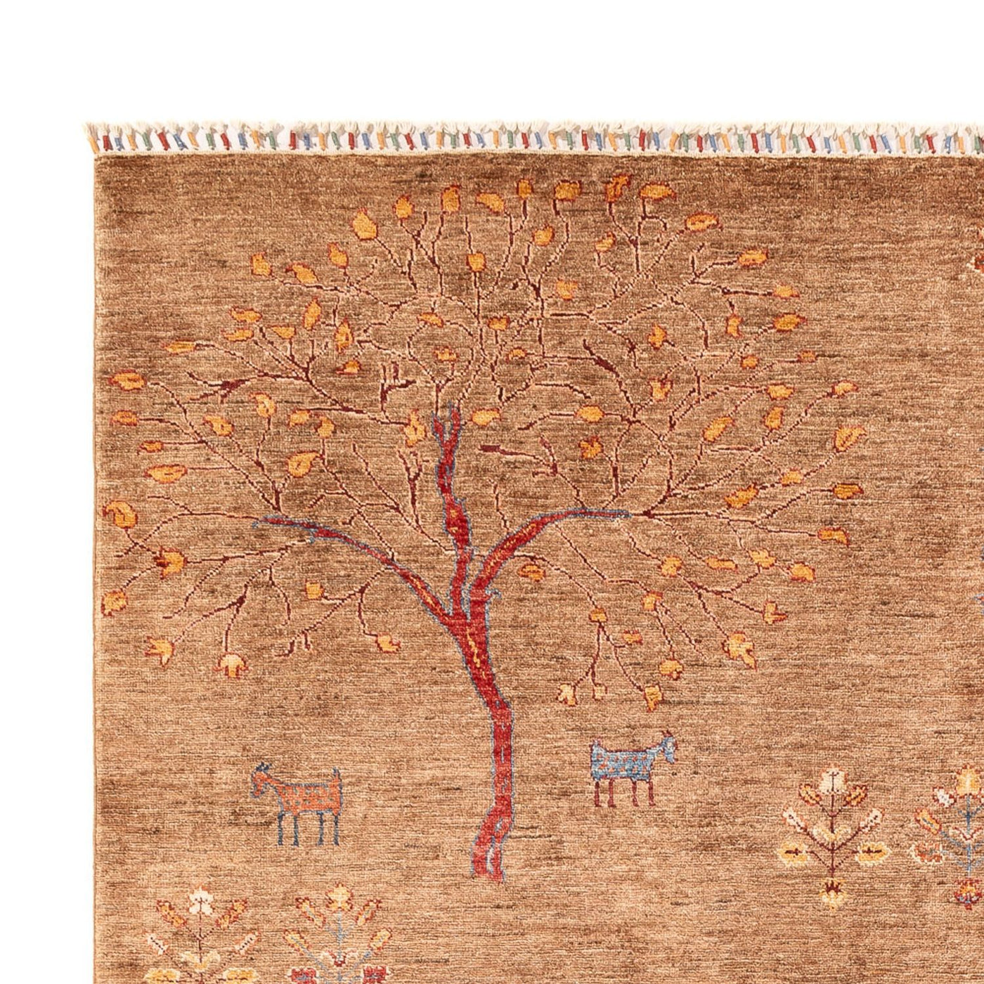 Dywan Ziegler - Ariana - 298 x 206 cm - ciemny beż