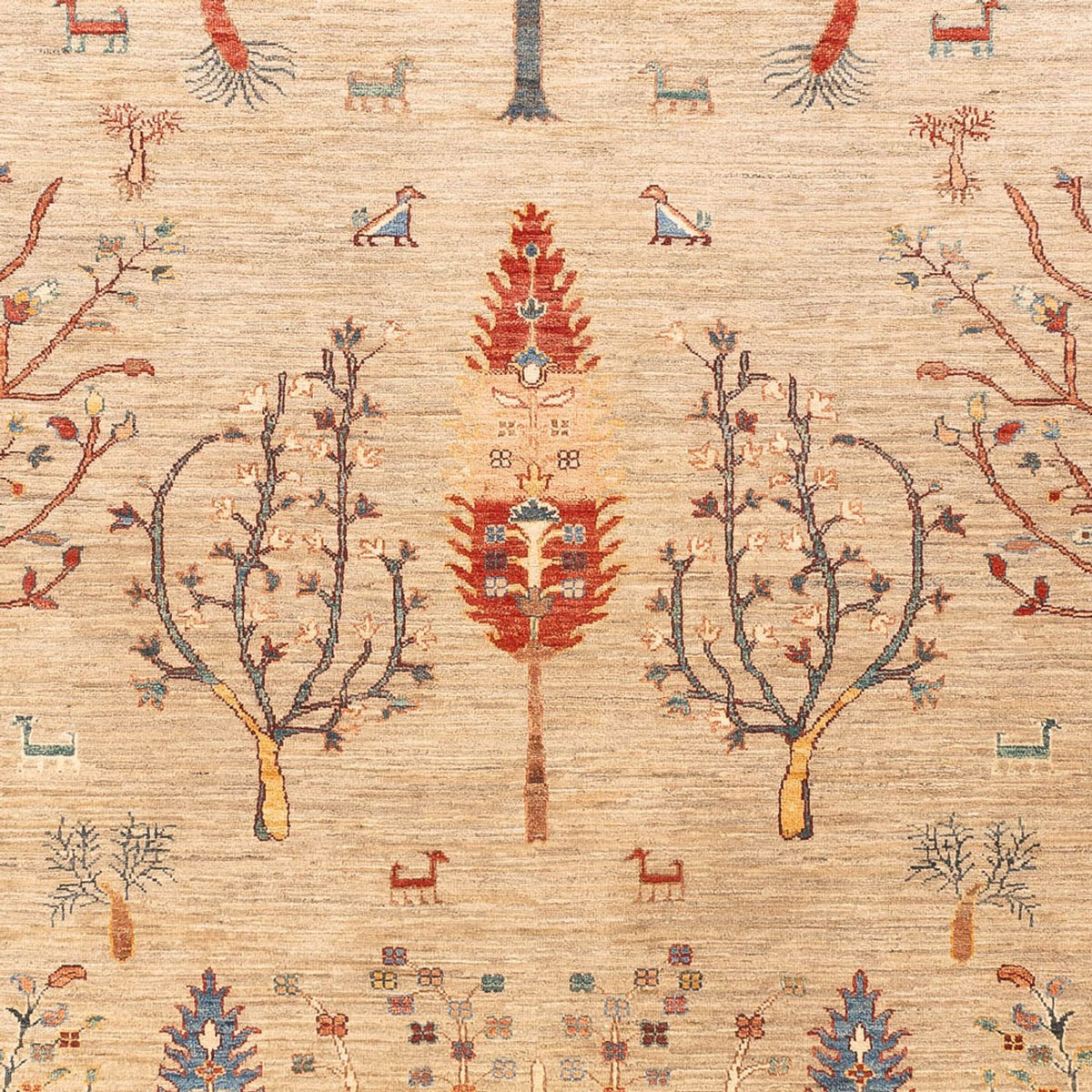 Dywan Ziegler - Ariana - 285 x 207 cm - jasny beż