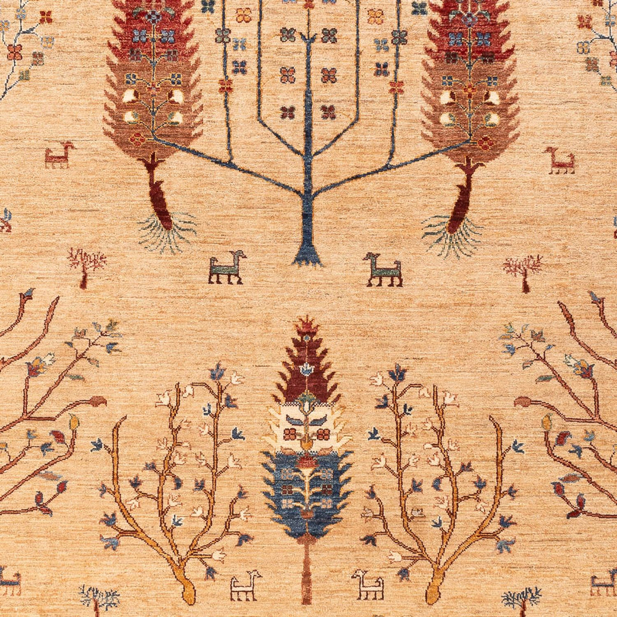 Dywan Ziegler - Ariana - 302 x 207 cm - jasny beż