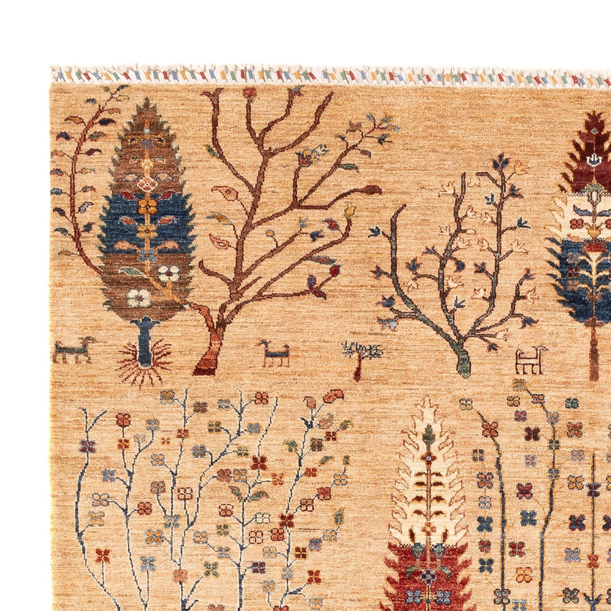 Dywan Ziegler - Ariana - 302 x 207 cm - jasny beż