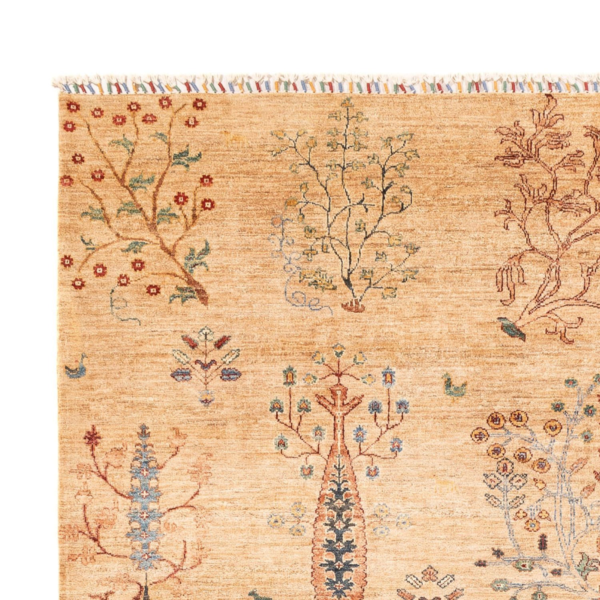 Dywan Ziegler - Ariana - 293 x 205 cm - jasny beż