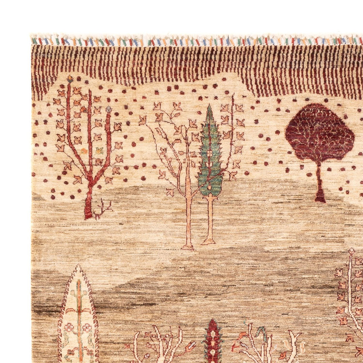 Dywan Ziegler - Ariana - 298 x 202 cm - ciemny beż