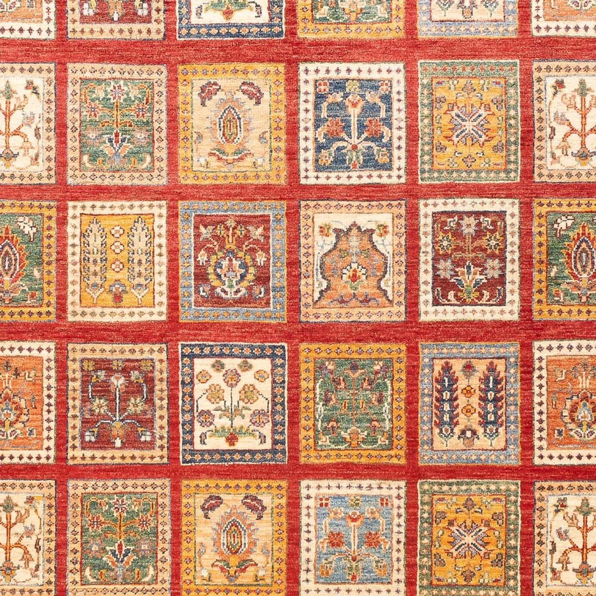 Dywan Ziegler - Bakhtiari - 239 x 169 cm - wielokolorowy