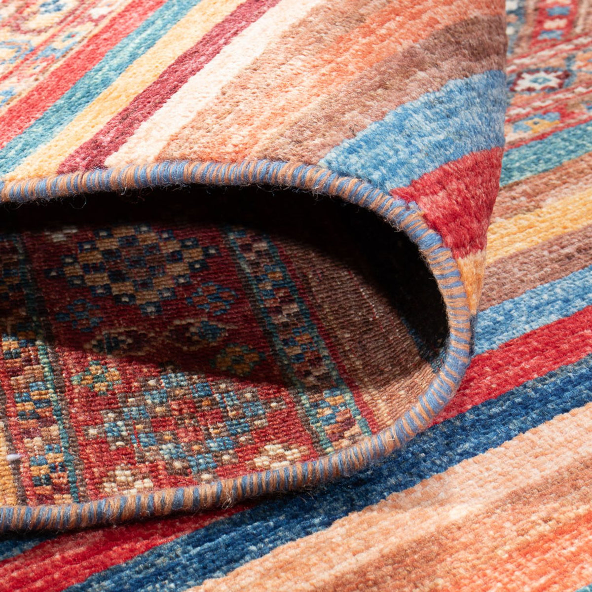 Dywan Ziegler - Shal - 300 x 205 cm - wielokolorowy