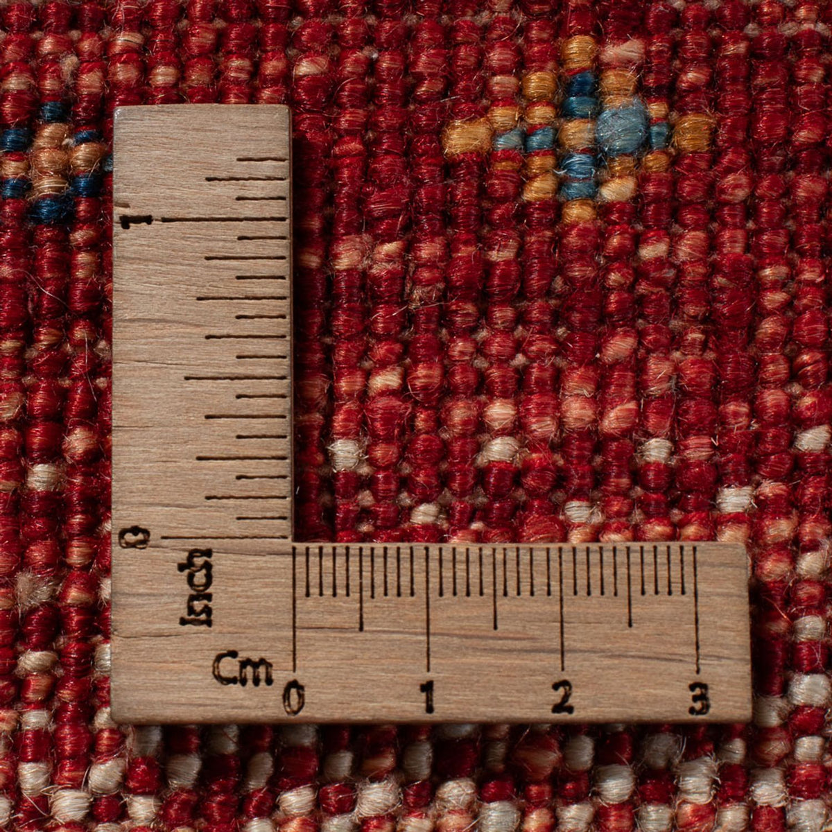 Dywan Ziegler - Modern - 305 x 201 cm - wielokolorowy