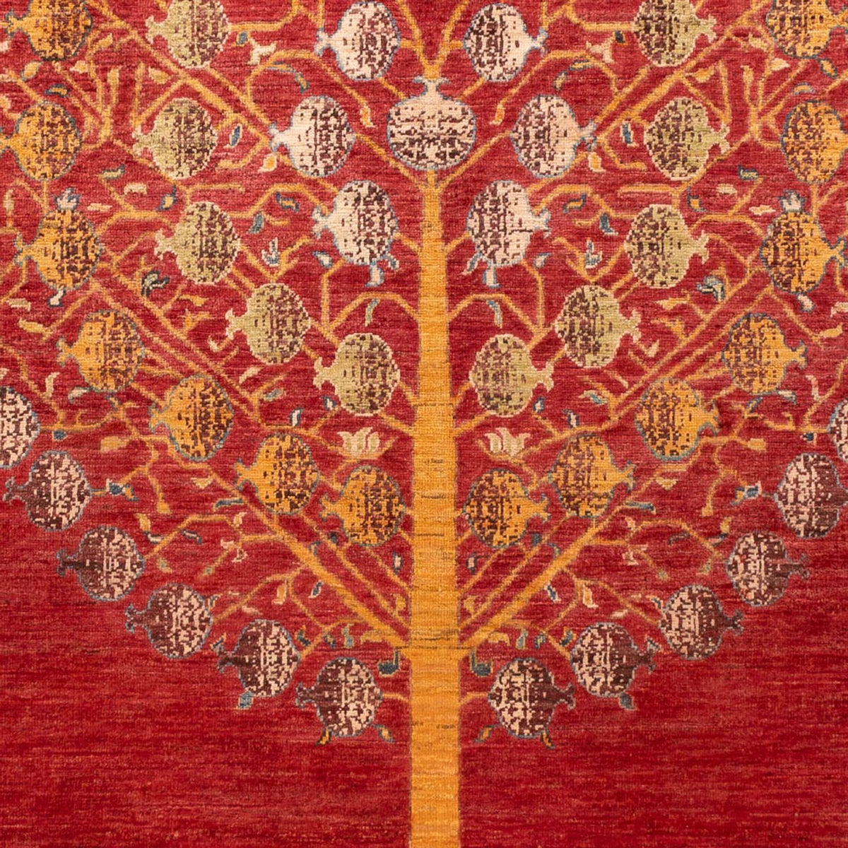 Dywan Ziegler - Ariana - 238 x 175 cm - czerwony