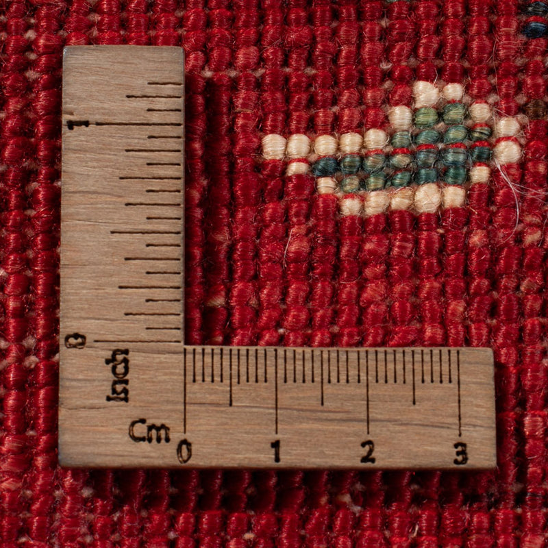 Dywan Ziegler - Ariana - 238 x 175 cm - czerwony