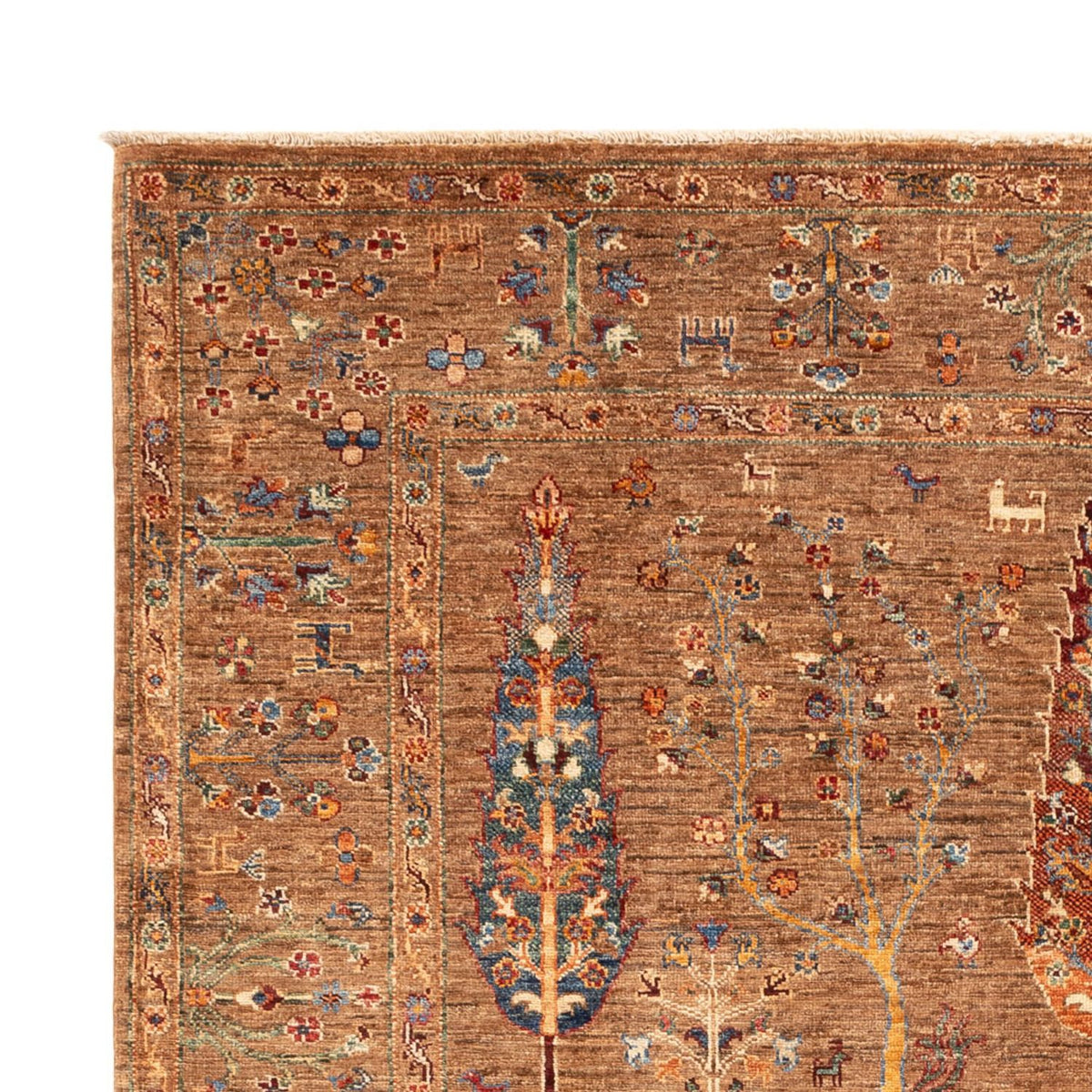 Ariana Dywan 177x246cm - Dywan orientalny