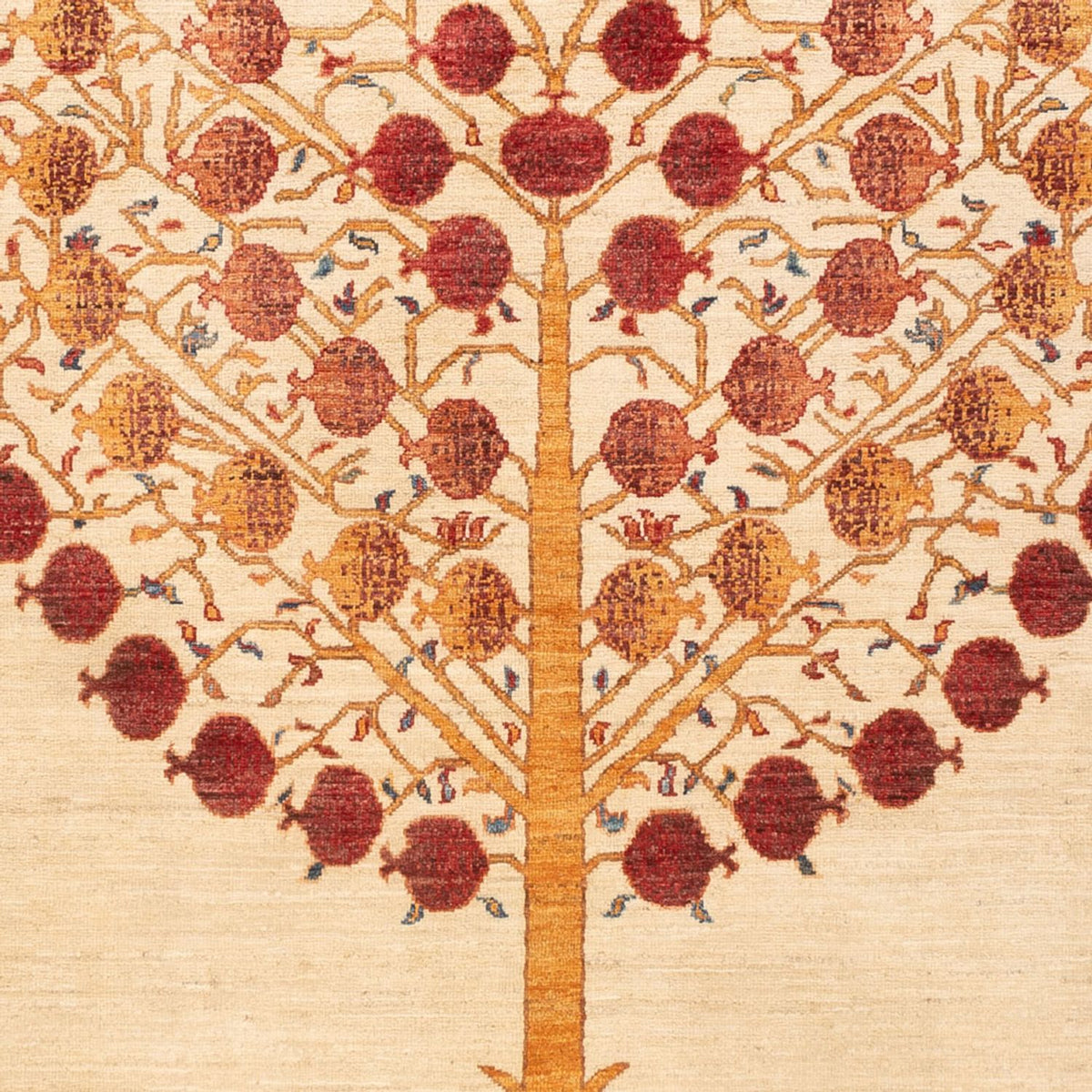 Dywan Ziegler - Ariana - 249 x 173 cm - jasny beż