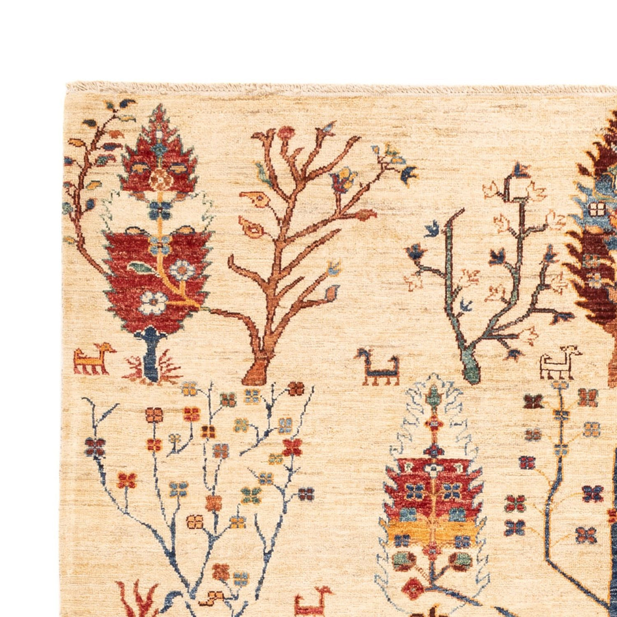 Dywan Ziegler - Ariana - 238 x 176 cm - jasny beż