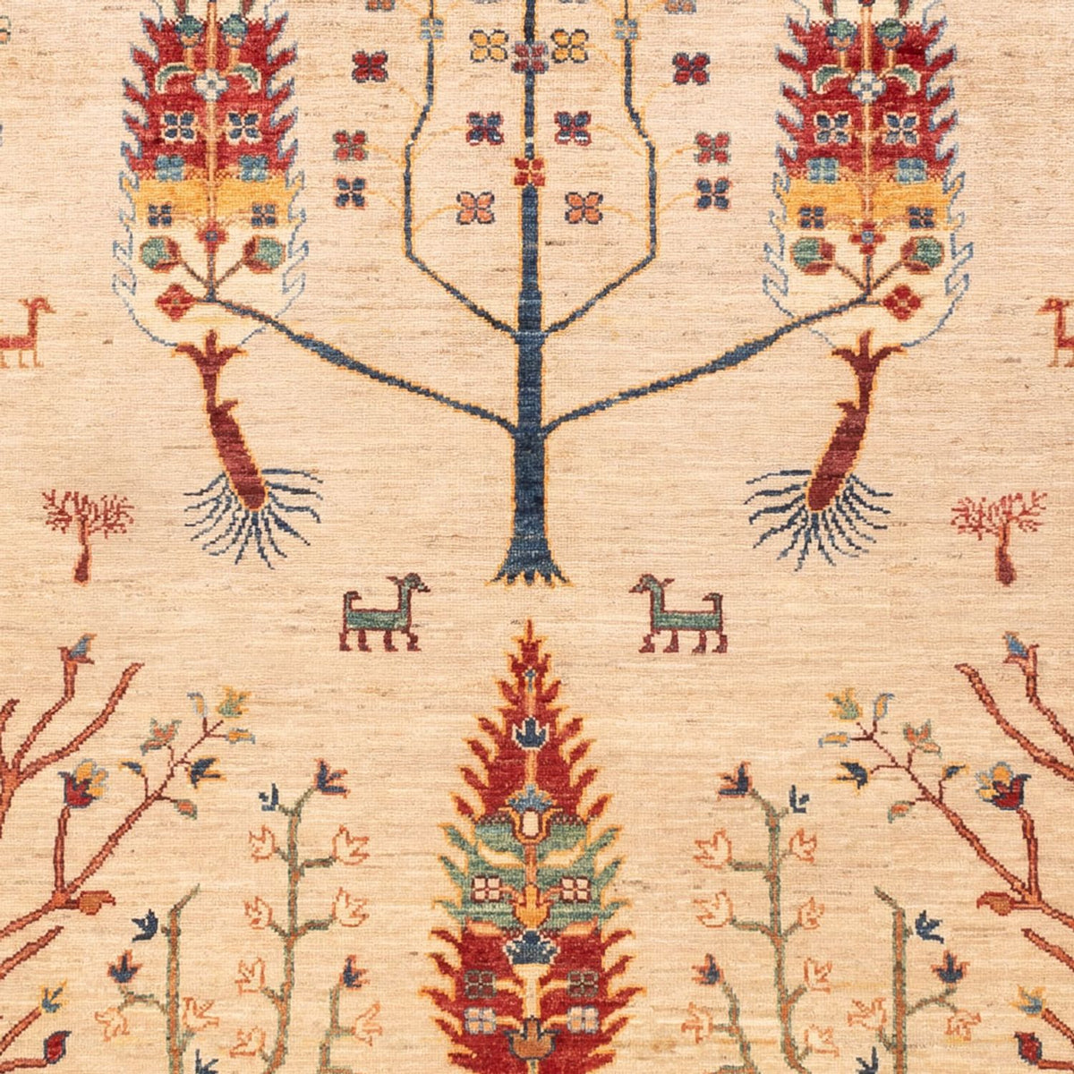 Dywan Ziegler - Ariana - 246 x 175 cm - jasny beż