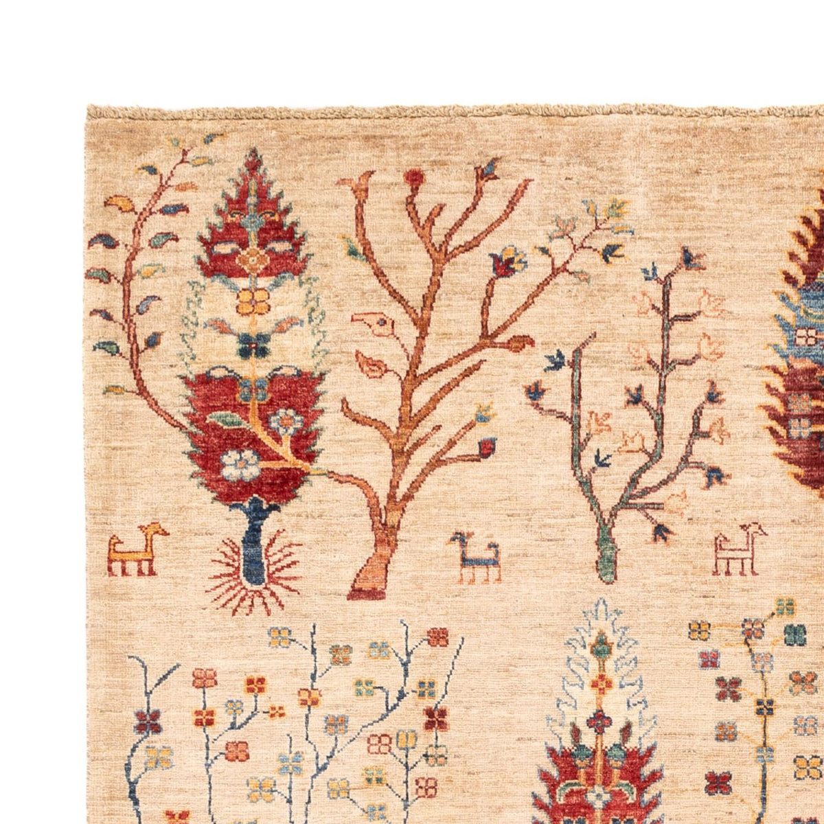 Dywan Ziegler - Ariana - 246 x 175 cm - jasny beż