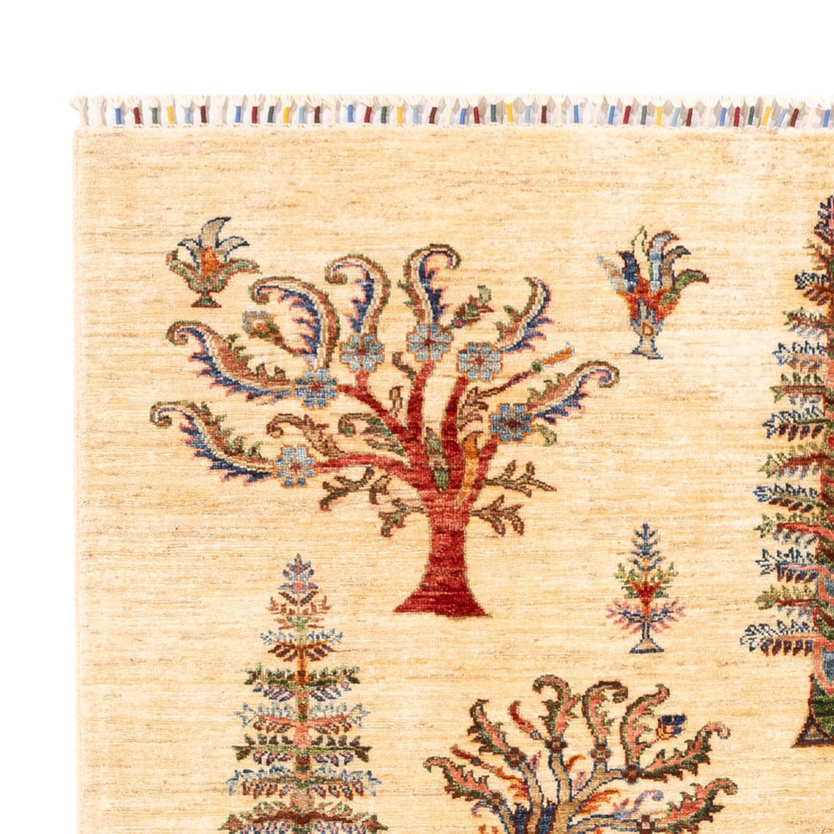 Dywan Ziegler - Ariana - 238 x 173 cm - jasny beż