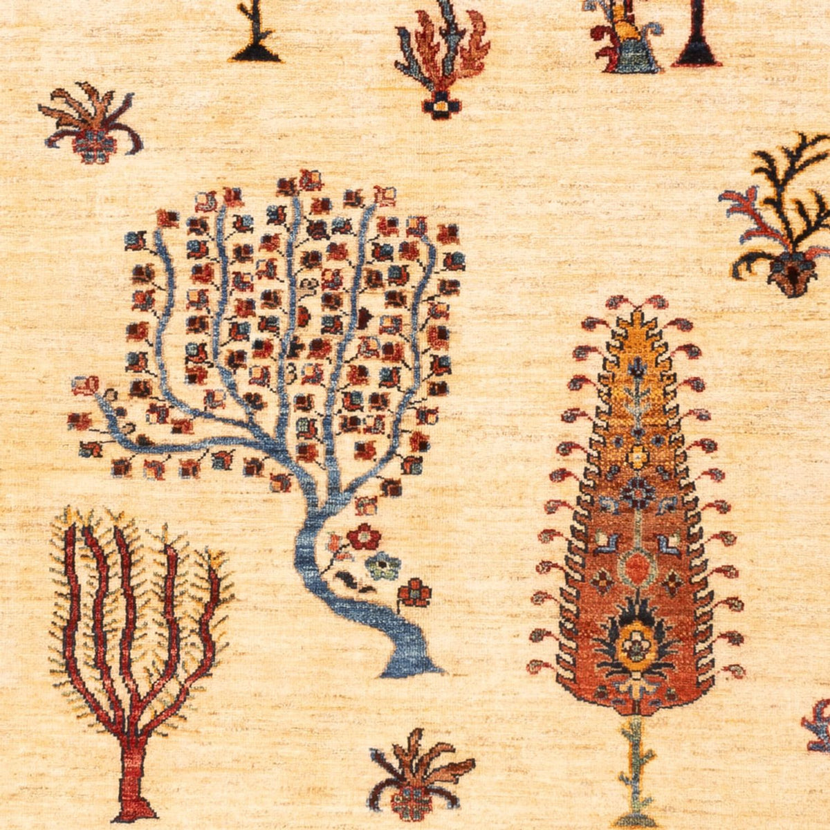 Dywan Ziegler - Ariana - 218 x 170 cm - jasny beż