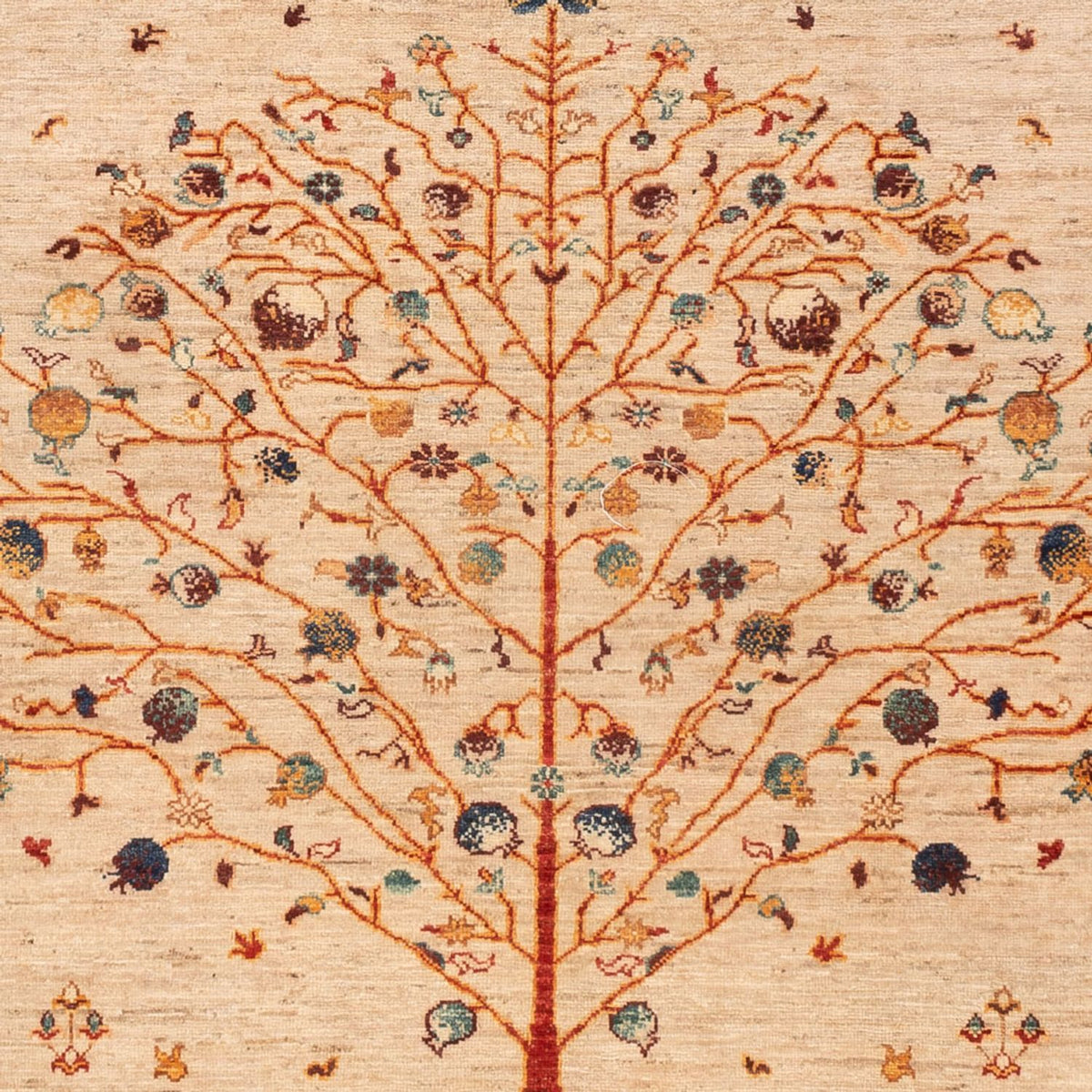 Dywan Ziegler - Ariana - 246 x 171 cm - jasny beż