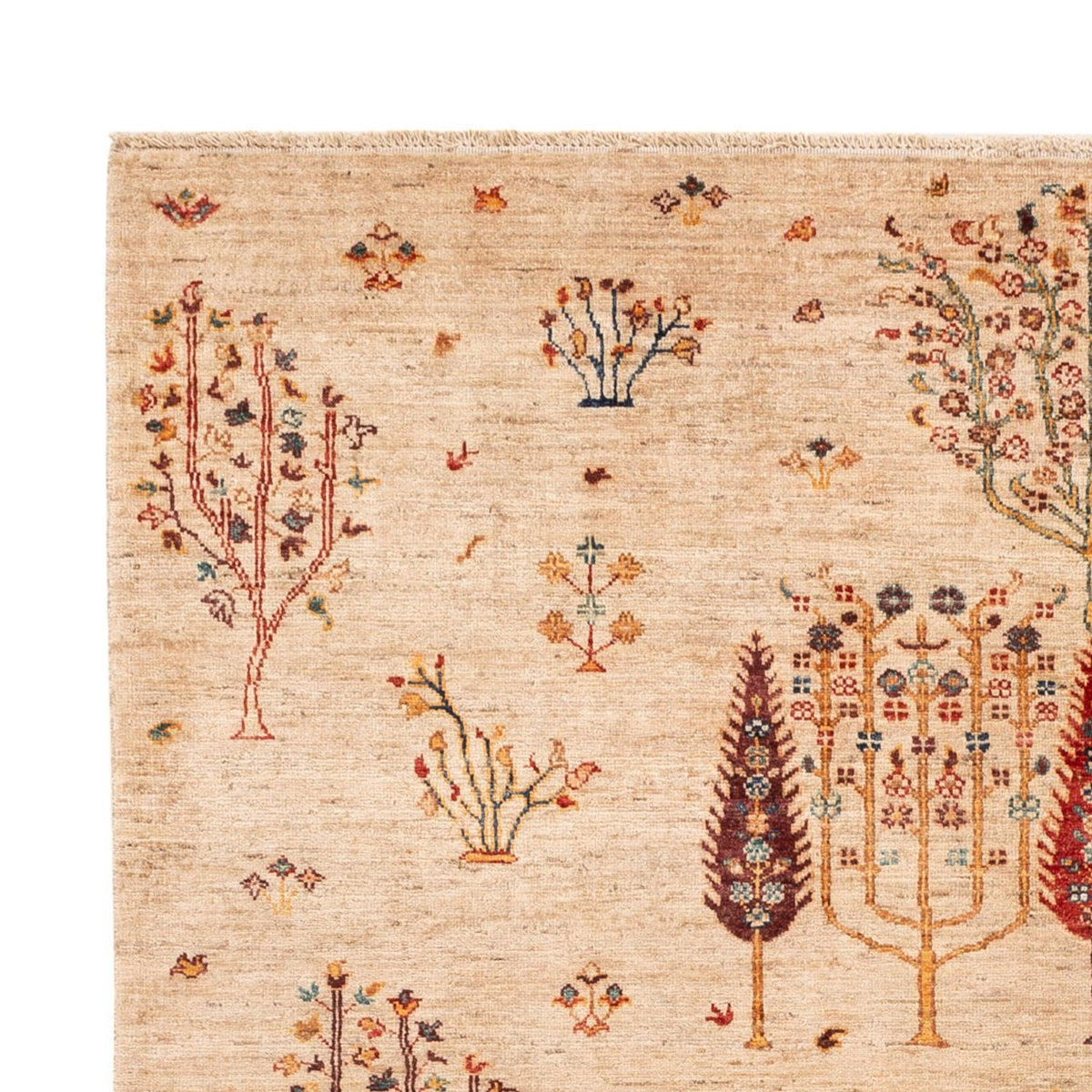 Dywan Ziegler - Ariana - 246 x 171 cm - jasny beż