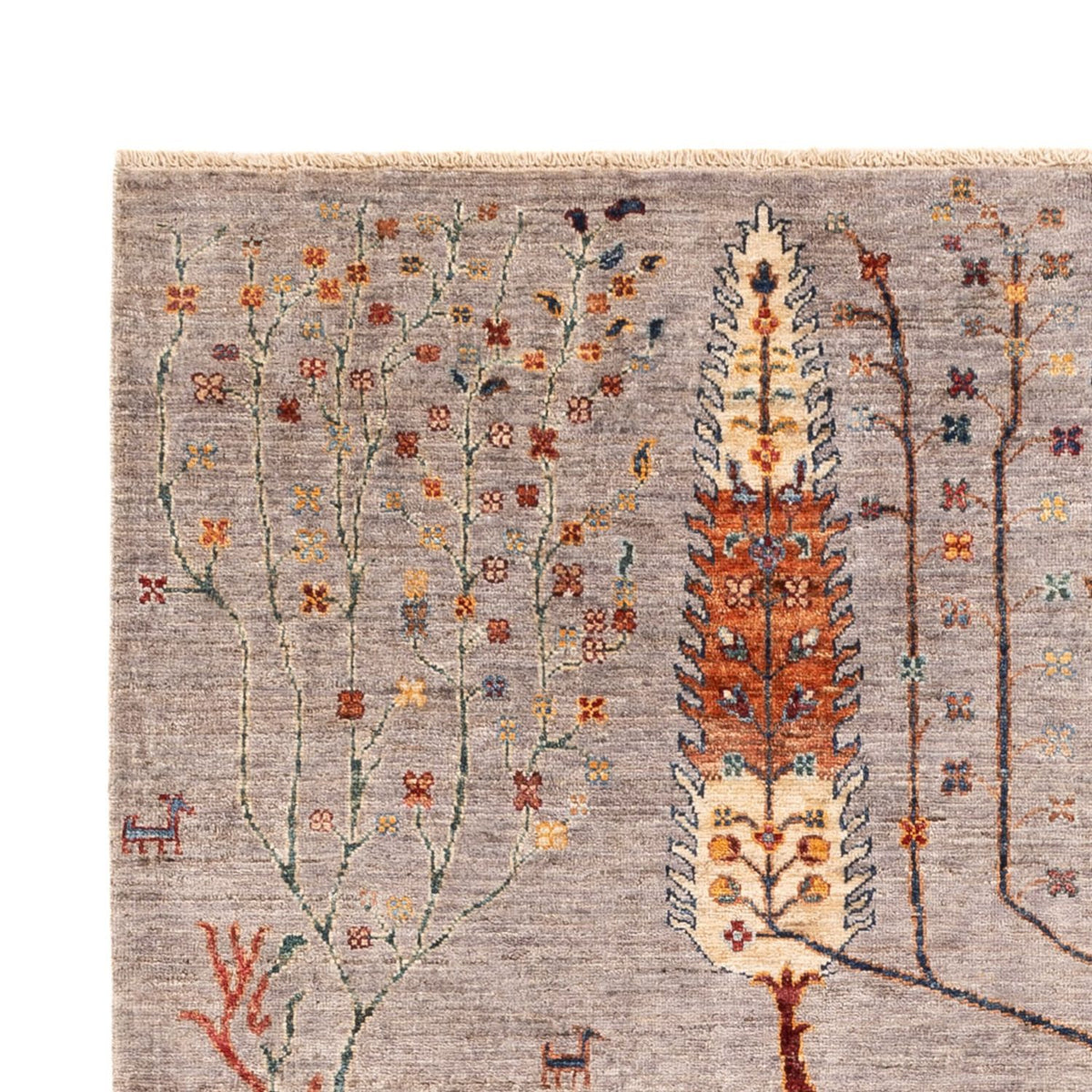 Dywan Ziegler - Ariana - 238 x 173 cm - szary