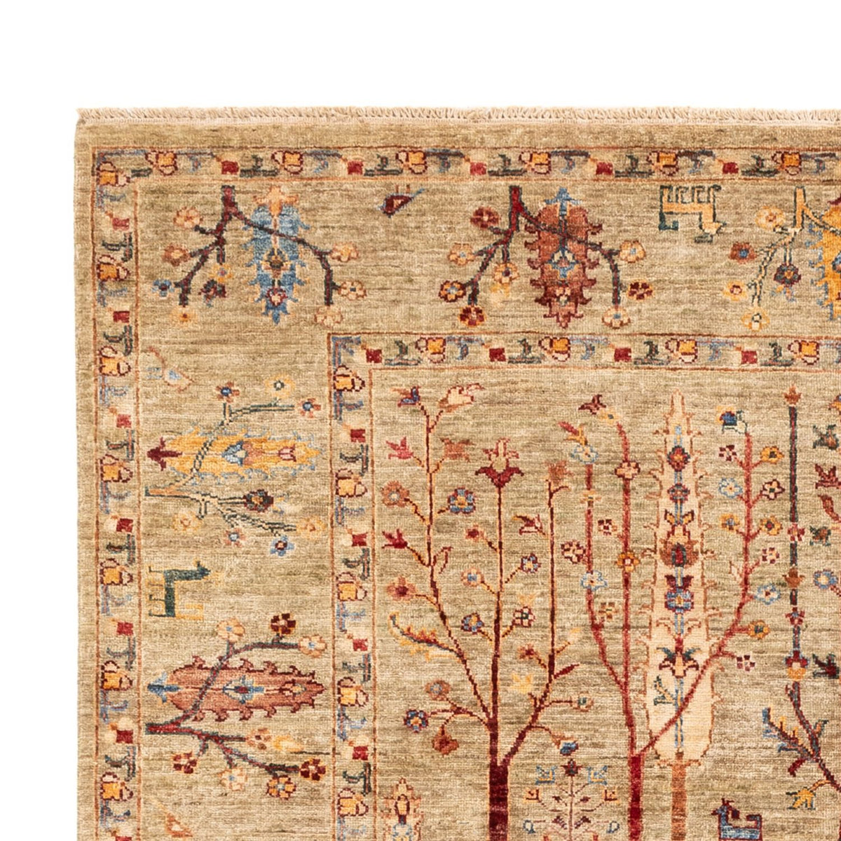 Dywan Ziegler - Ariana - 243 x 175 cm - piaskowy