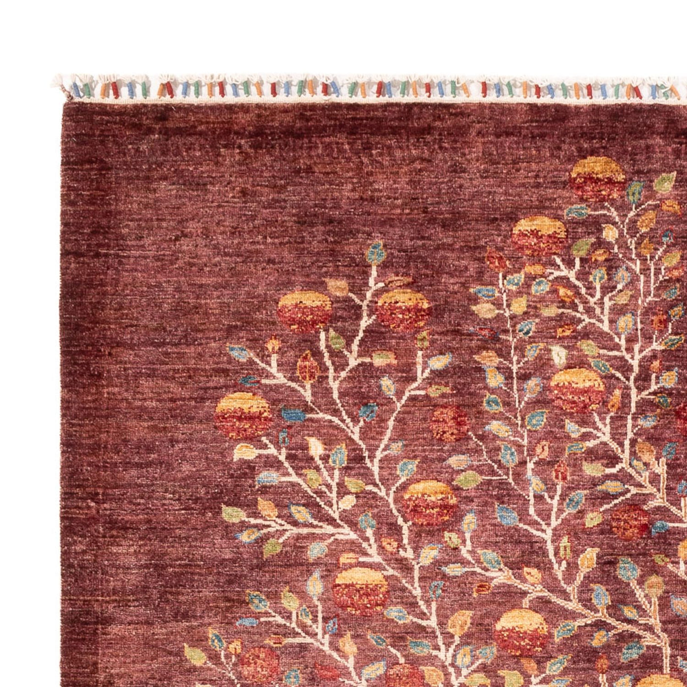 Ariana Dywan 240x175cm - Dywan orientalny