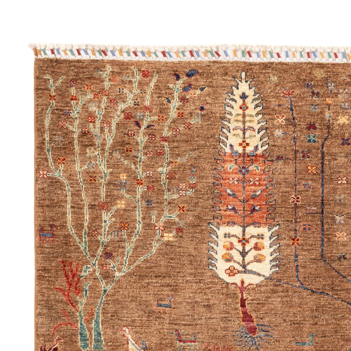 Dywan Ziegler - Ariana - 240 x 171 cm - brązowy