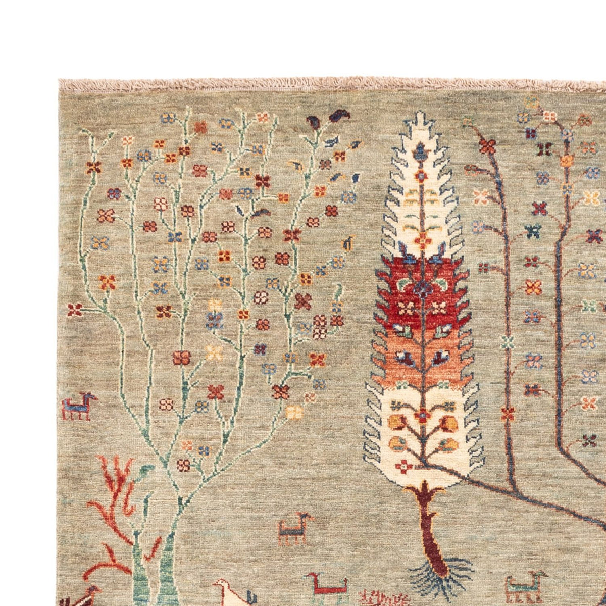 Dywan Ziegler - Ariana - 244 x 173 cm - piaskowy