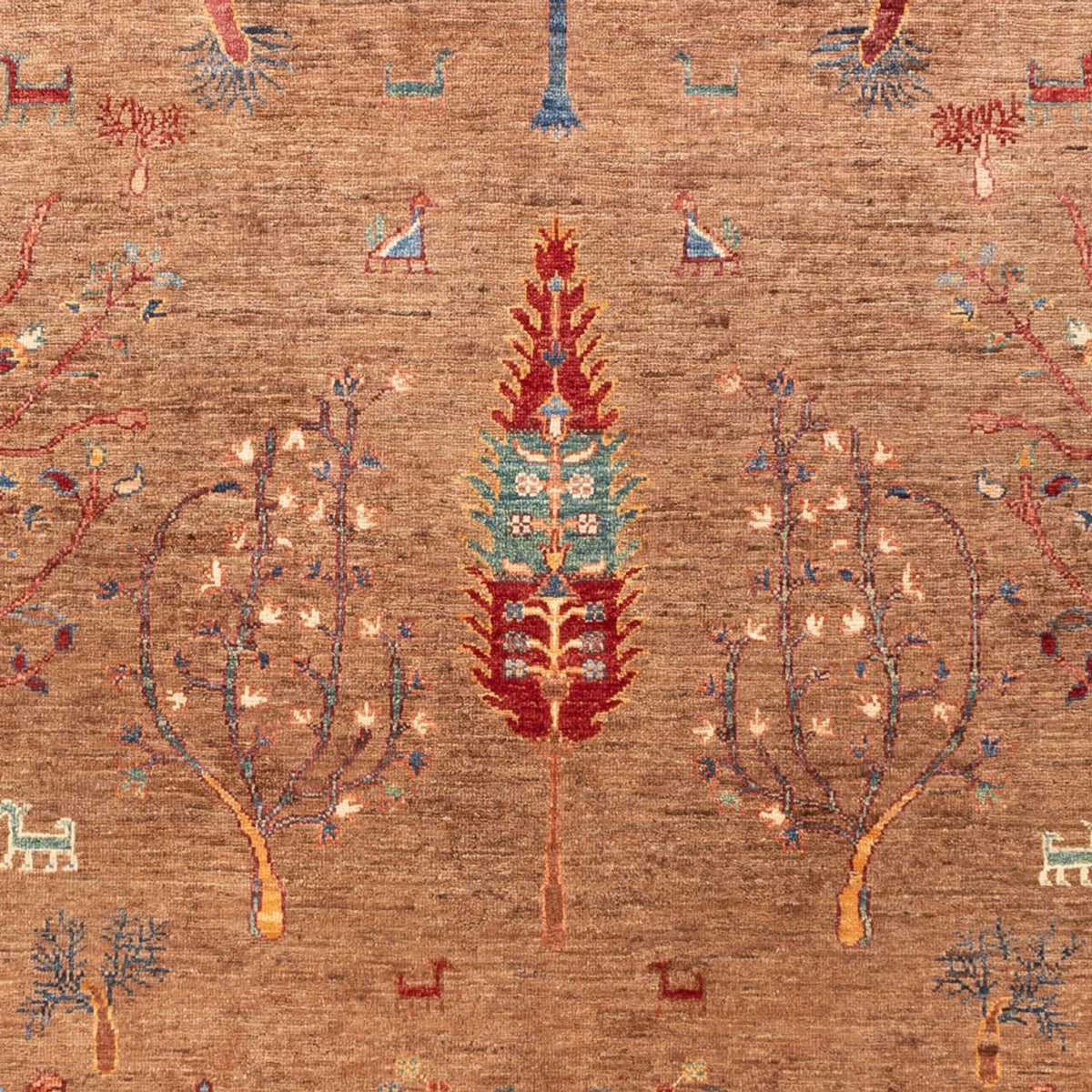 Dywan Ziegler - Ariana - 246 x 172 cm - brązowy