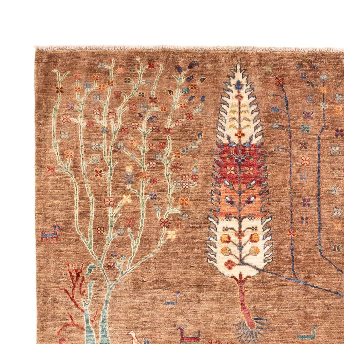 Dywan Ziegler - Ariana - 246 x 172 cm - brązowy