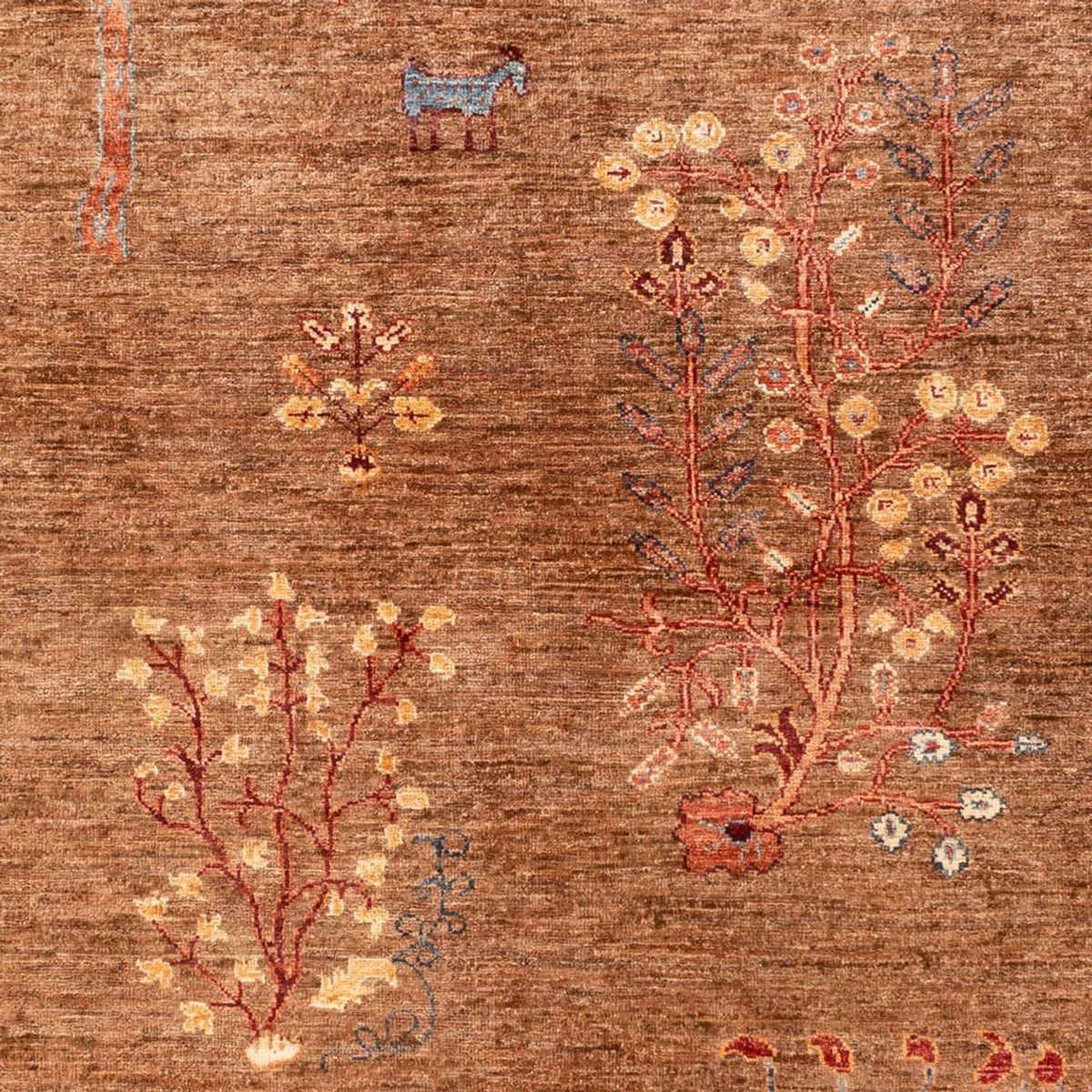 Dywan Ziegler - Ariana - 239 x 170 cm - brązowy