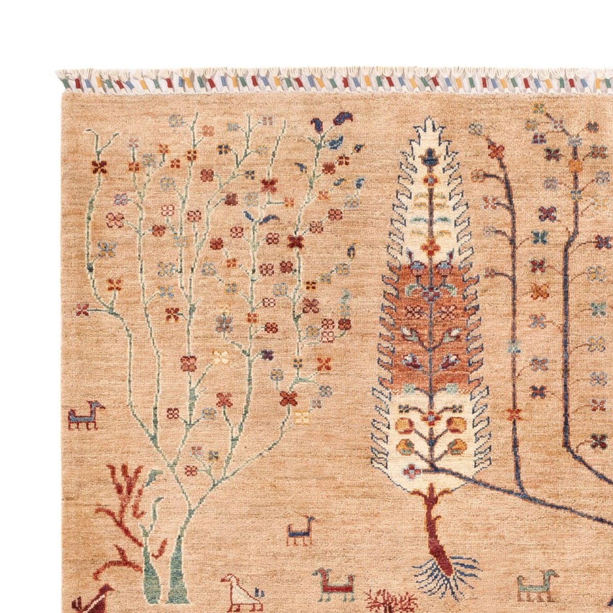 Dywan Ziegler - Ariana - 231 x 178 cm - jasnobrązowy