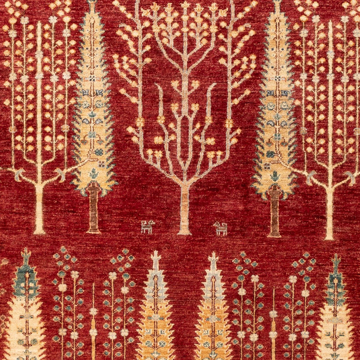 Dywan Ziegler - Ariana - 242 x 173 cm - czerwony