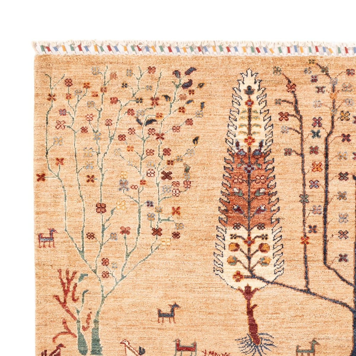 Dywan Ziegler - Ariana - 236 x 173 cm - beżowy