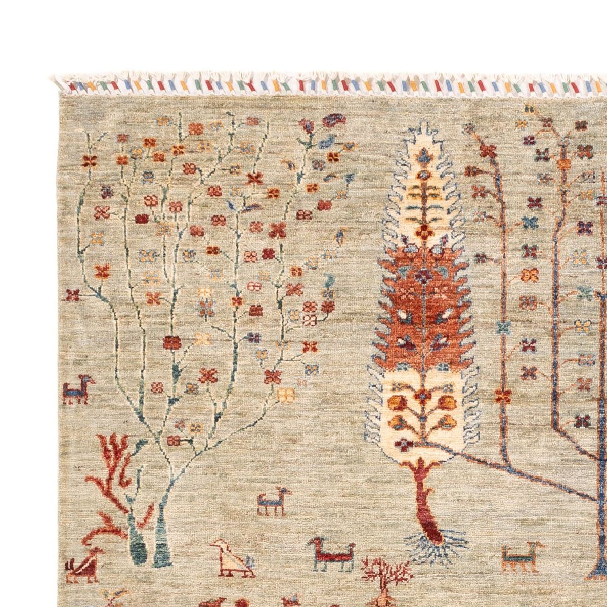 Dywan Ziegler - Ariana - 240 x 173 cm - jasnoszary