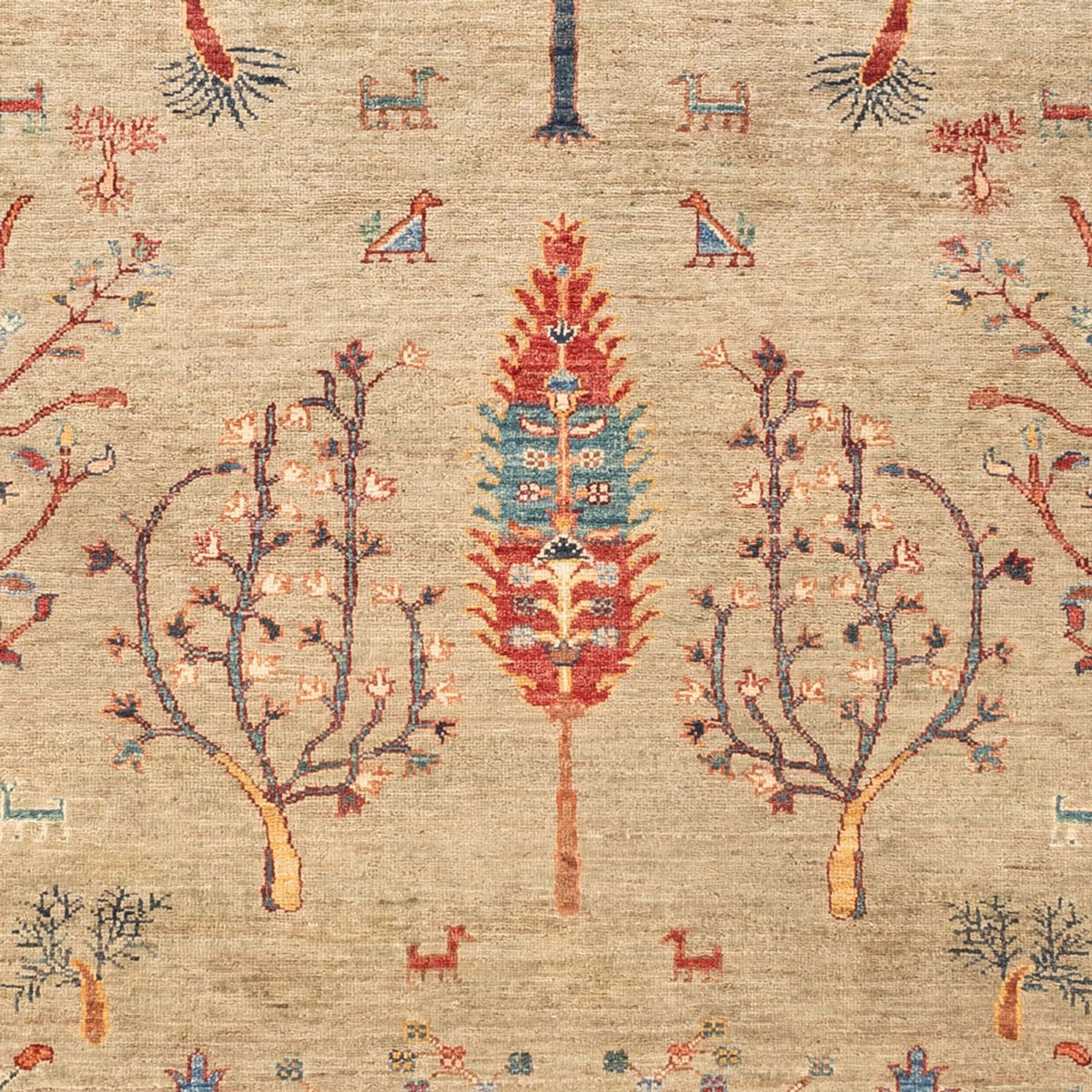 Dywan Ziegler - Ariana - 235 x 172 cm - jasnoszary