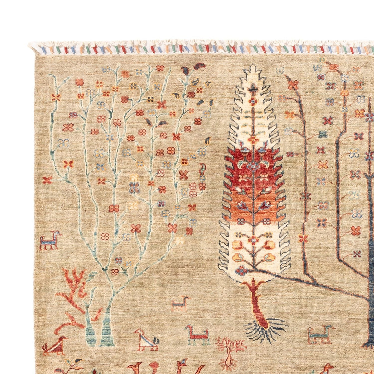 Dywan Ziegler - Ariana - 235 x 172 cm - jasnoszary