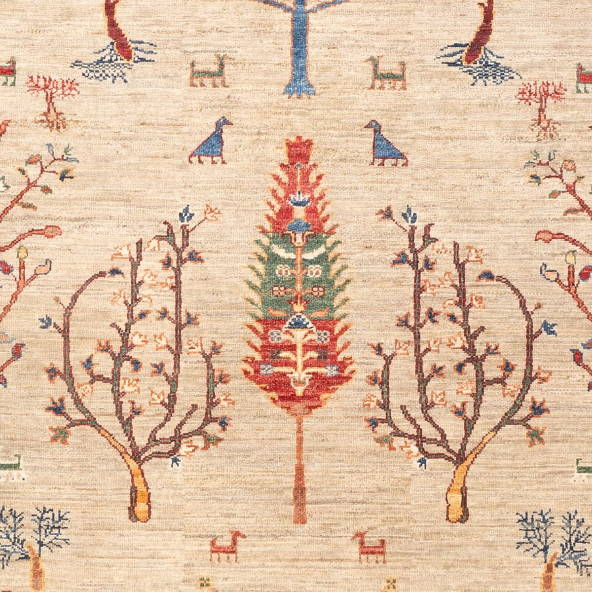 Dywan Ziegler - Ariana - 232 x 168 cm - jasnoszary