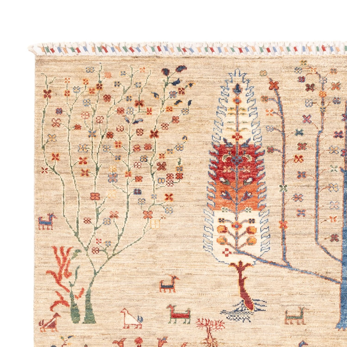 Dywan Ziegler - Ariana - 232 x 168 cm - jasnoszary